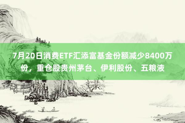 7月20日消费ETF汇添富基金份额减少8400万份，重仓股贵州茅台、伊利股份、五粮液
